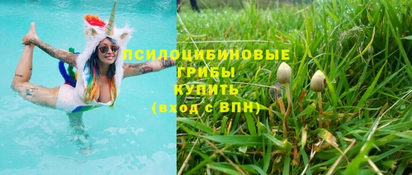 Альфа ПВП Алзамай