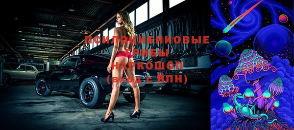 не бодяженный Алексин