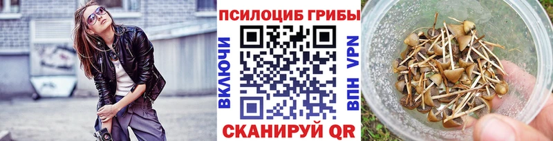 Купить  Ессентукская  Галлюциногенные грибы ЛСД 