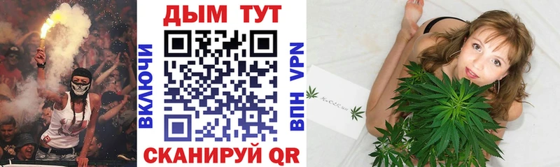 Каннабис план Ессентукская